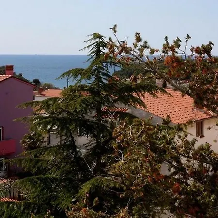 Pina Villa *